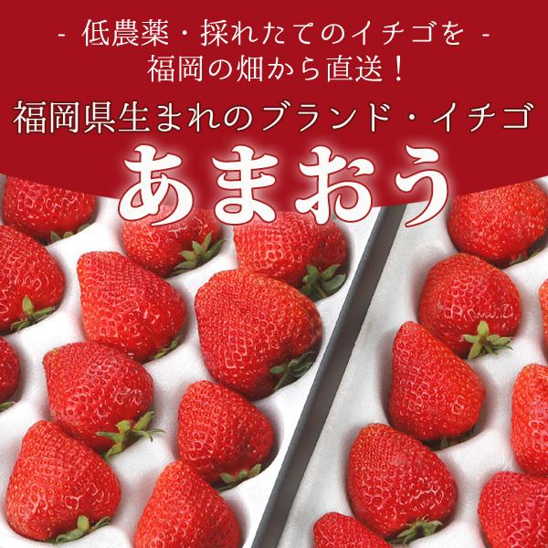 低農薬 福岡 あまおう 苺 いちご 贈答用 800g 大粒24〜32玉 化粧箱入 産地直送 ama * ふるさと納税 ではありません_3
