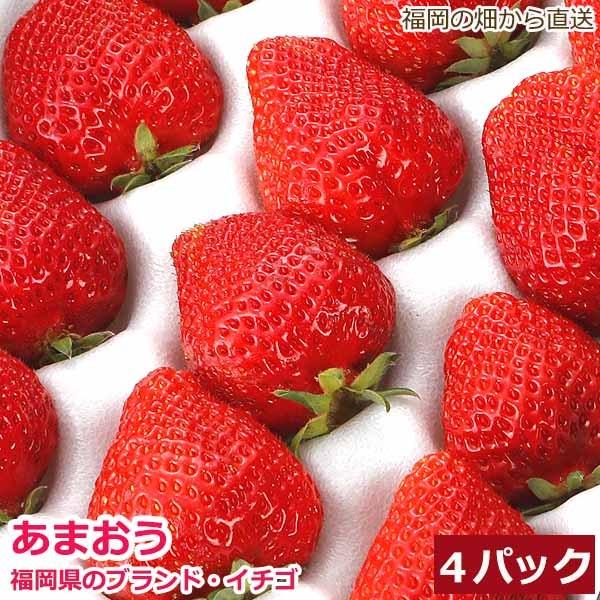 低農薬 福岡 あまおう 苺 いちご 小粒 4パック 1kg 80粒前後 産地直送 苺 イチゴ ama * ふるさと納税 ではありません