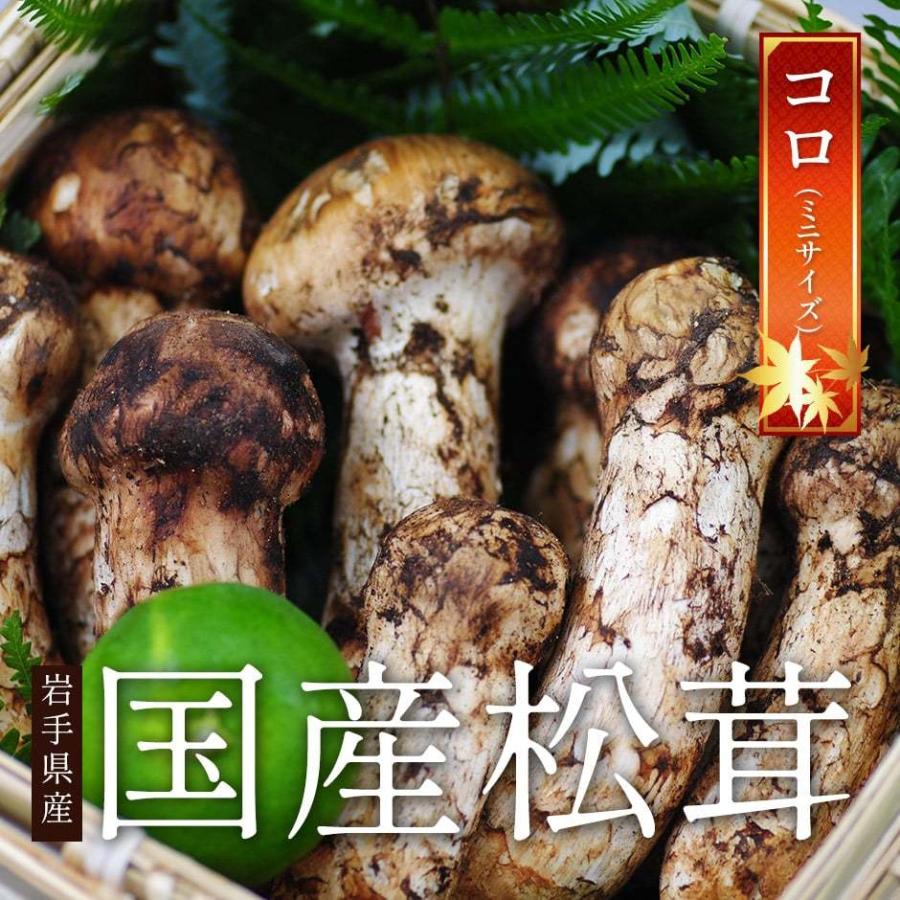 ③国産松茸。500ｇ。傷、コロ、難あり-