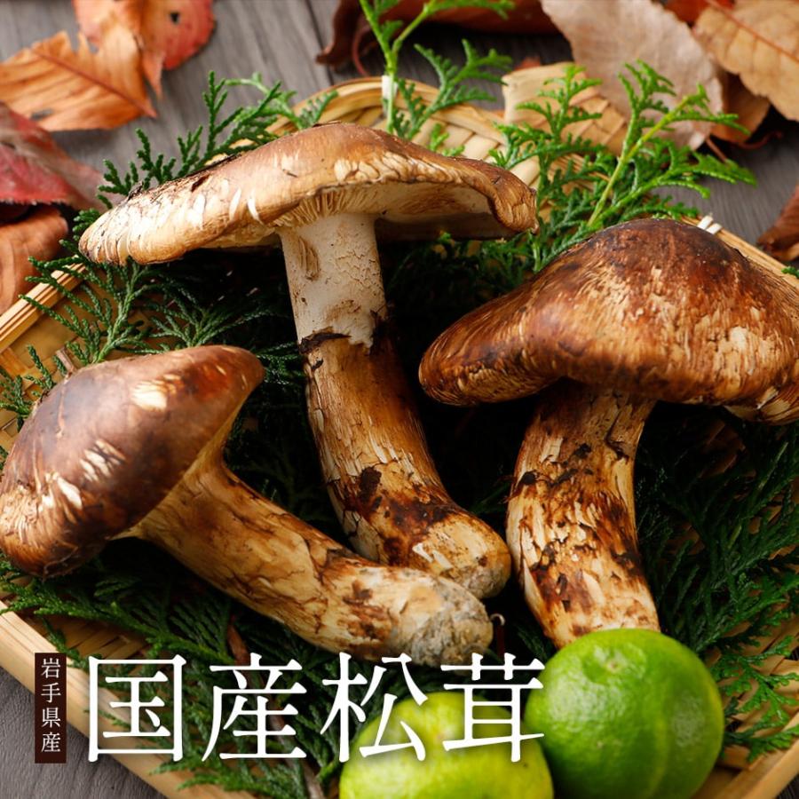 分予約 国産 松茸 約500g 詰め合わせ まつたけ マツタケ つぼみ 大 中 