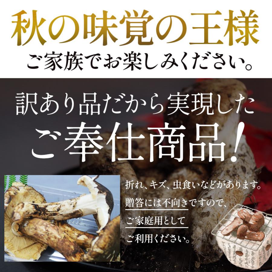 分予約 訳あり 国産 松茸 1kg前後 まつたけ マツタケ 岩手