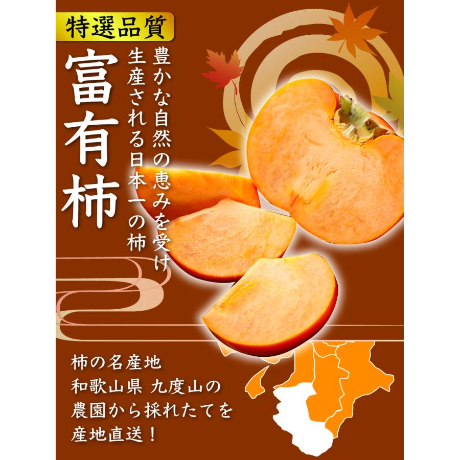 2025年11月分予約 全額返金保証 低農薬 和歌山 九度山産 富有柿 約3.8kg 青秀 12~15玉 産地直送 * ふるさと納税 ではありません_1