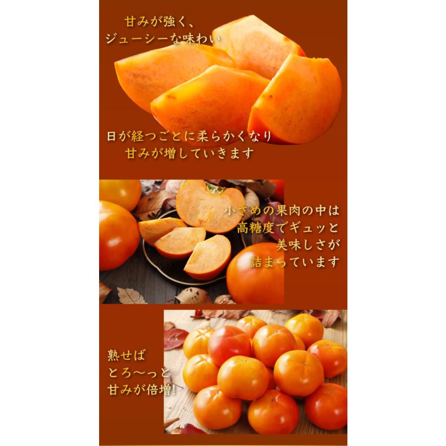 2025年11月分予約 全額返金保証 低農薬 和歌山 九度山産 富有柿 約3.8kg 青秀 12~15玉 産地直送 * ふるさと納税 ではありません_3
