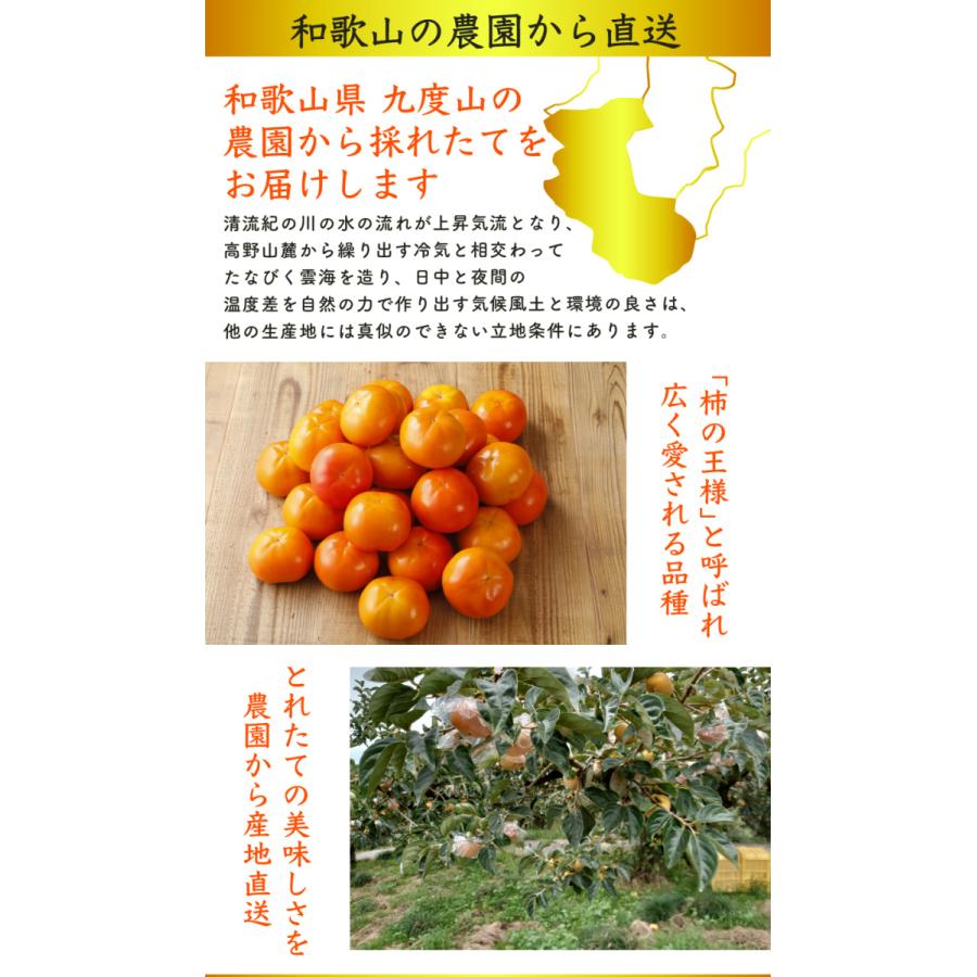 2026年11月分予約 全額返金保証 低農薬 和歌山 九度山産 富有柿 約3.8kg 贈答用 12~15玉 赤秀 産地直送 * ふるさと納税 ではありません_4