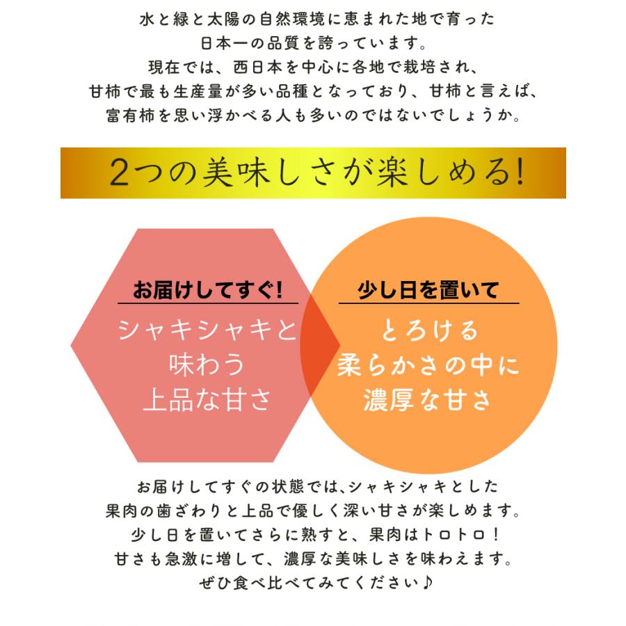 2026年11月分予約 全額返金保証 低農薬 和歌山 九度山産 富有柿 訳あり 約7.5kg 24~32玉 産地直送 * ふるさと納税 ではありません_7