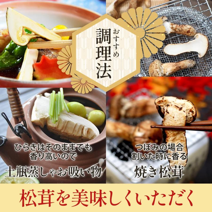 訳あり 国産 松茸 1kg前後 まつたけ マツタケ 長野 * ふるさと納税