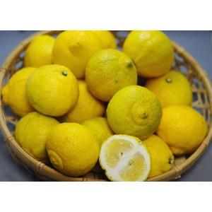 2027年2月分予約 減農薬 和歌山 はるか 約10kg みかん 訳あり サイズ