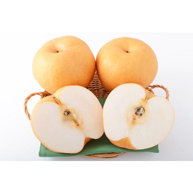 フルーツ 梨(都道府県で探す:岡山県)|フルーツ|食品 通販 - Yahoo!ショッピング フルーツ 梨(都道府県で探す:岡山県)|フルーツ|食品 通販 - Yahoo!ショッピング