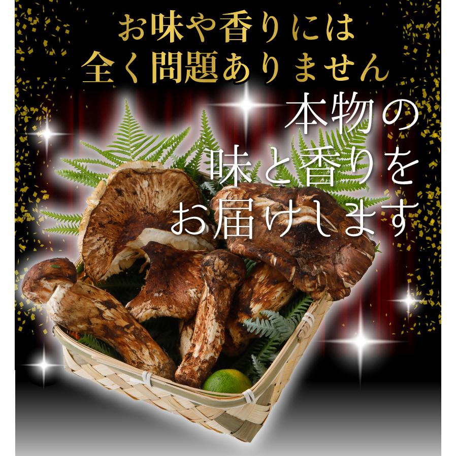 北海道松茸300g 訳あり③