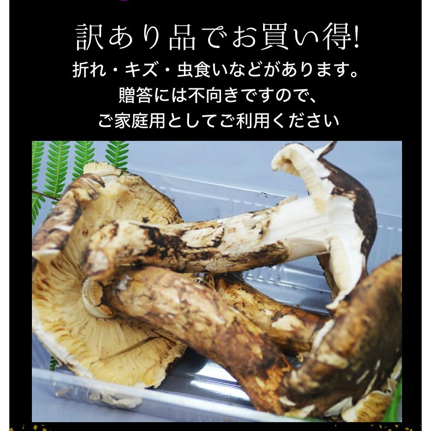 松茸 訳あり 国産 産地直送 まつたけ 土瓶蒸し 500g 前後 松茸 訳あり マツタケ お吸い物 天ぷら 焼きまつたけ 土瓶蒸し ギフト 家庭用 岡山 おかやま 旬の食材｜808｜03