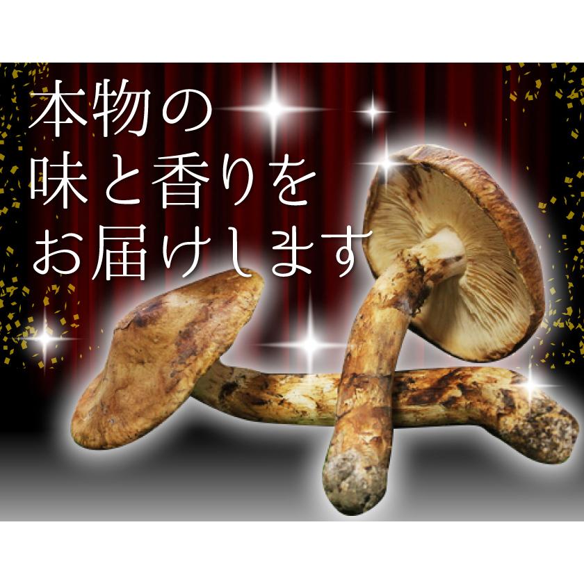 2026年10月分予約 国産 松茸 ひらき 小さめ 約230g 2~8本程度 まつたけ