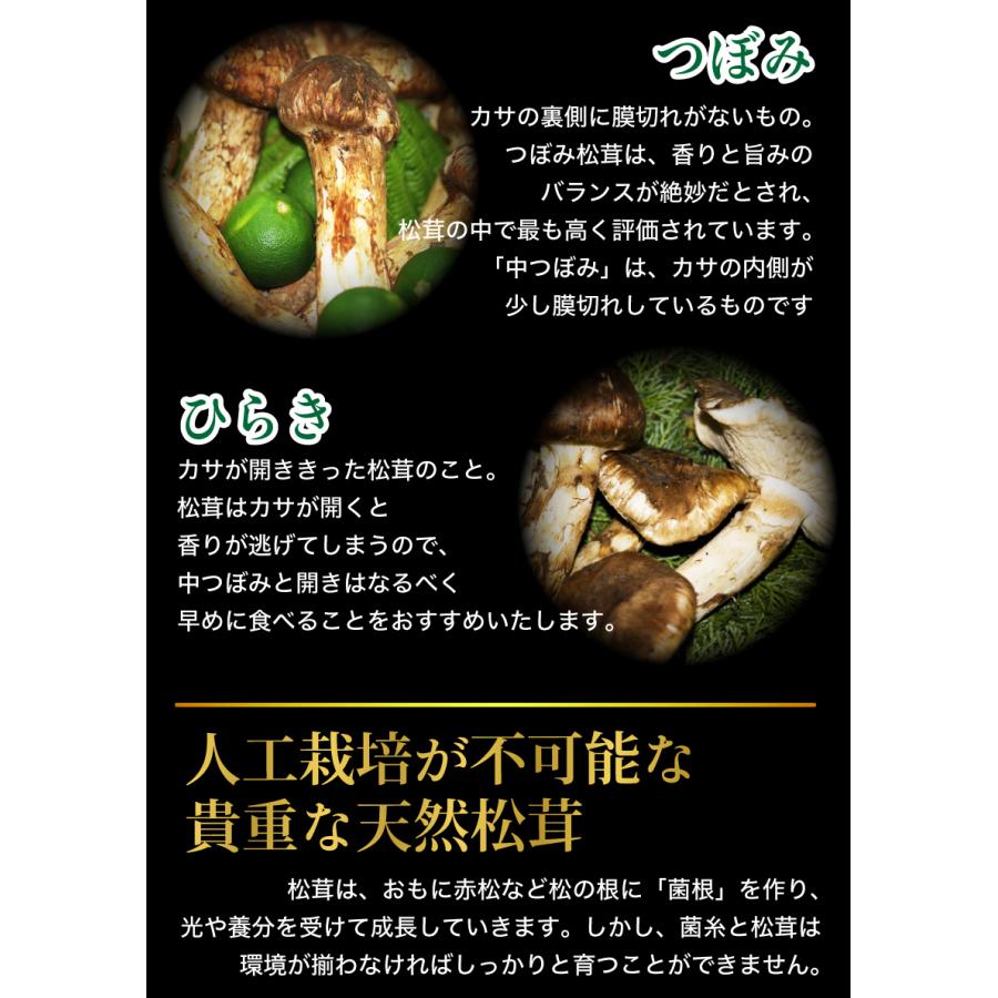 国産 松茸 ひらき 小さめ 約230g 2~8本程度 まつたけ マツタケ 岡山