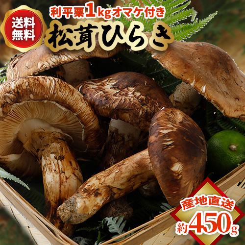 2025年10月分予約 国産 松茸 ひらき 約450g前後 4~8本程度 