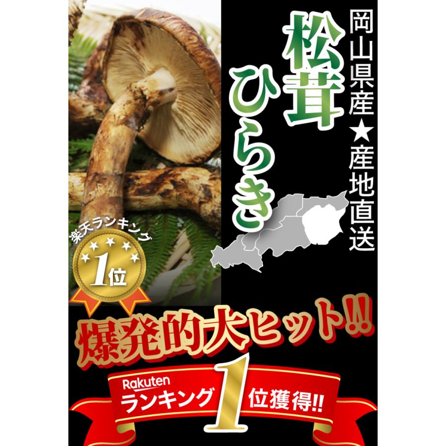 国産 松茸 ひらき 約450g前後 4~8本程度 まつたけ マツタケ 利平栗1kgオマケ付き 岡山 ギフト｜808｜02