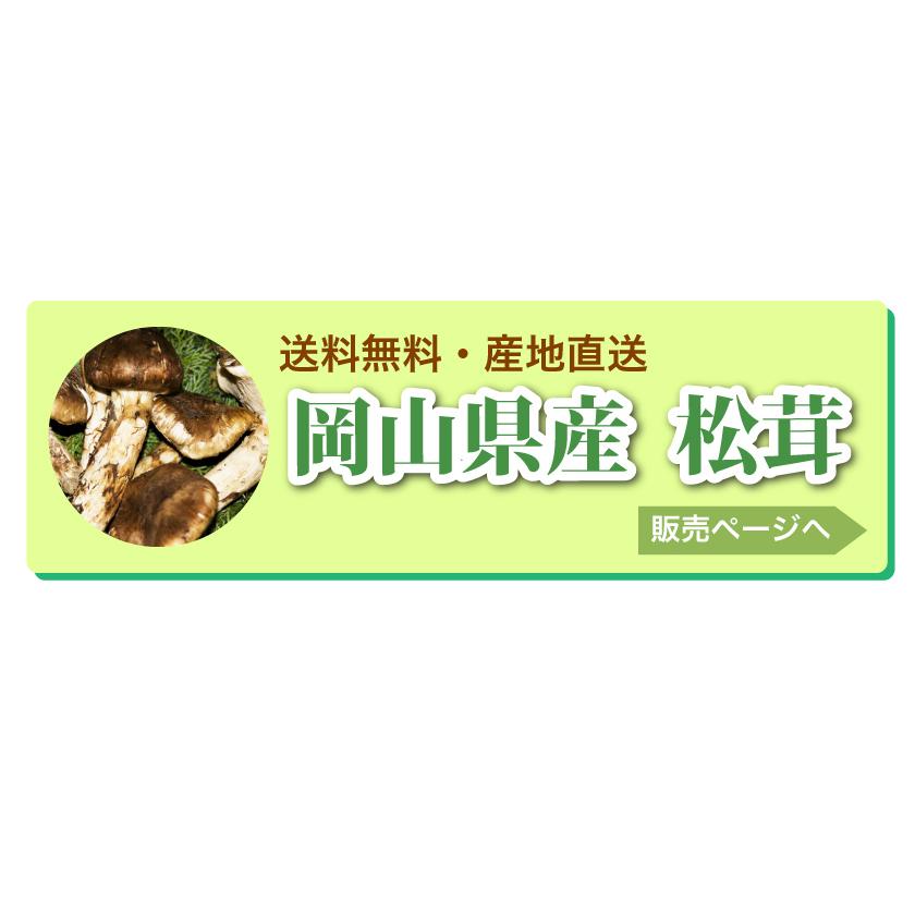 10月分予約 国産 松茸 ひらき 約450g前後 4~8本程度 まつたけ 10月分予約 国産 松茸 ひらき 約450g前後 4~8本程度 まつたけ