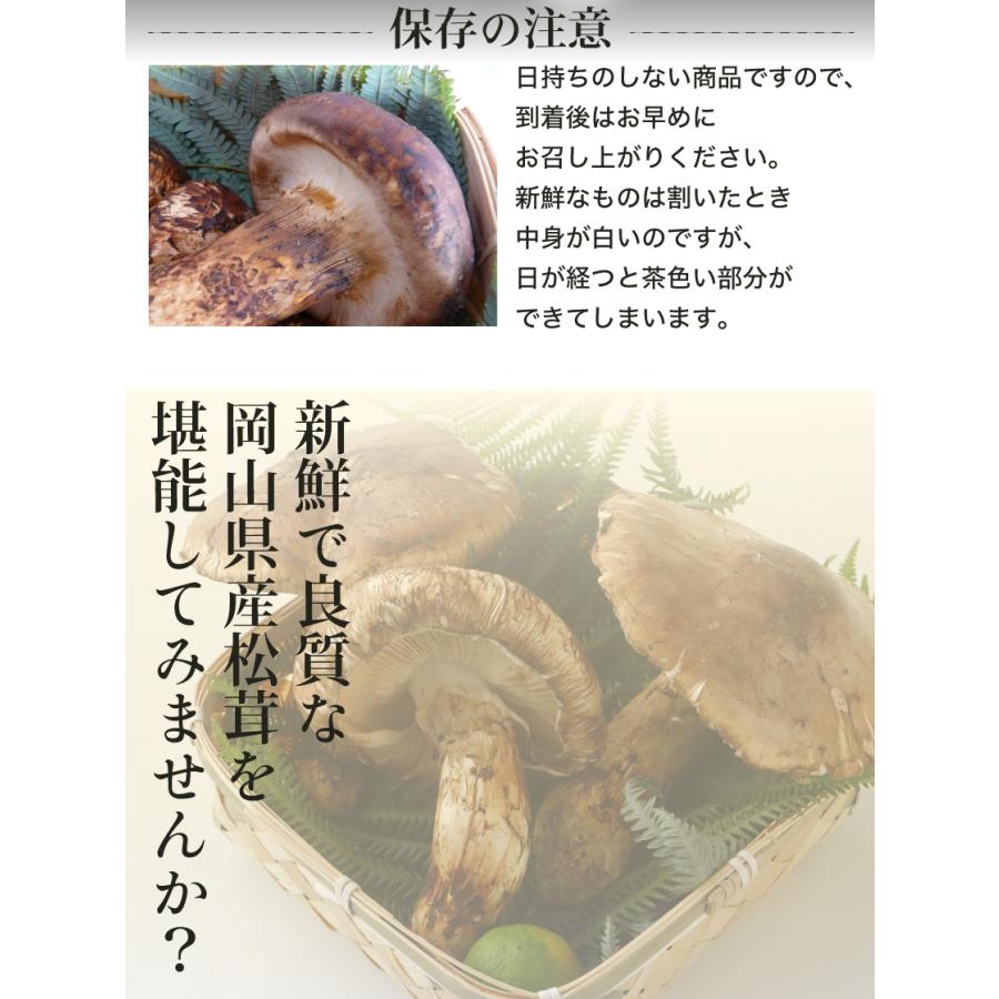 10月分予約 国産 松茸 ひらき 約450g前後 4~8本程度 まつたけ 10月分予約 国産 松茸 ひらき 約450g前後 4~8本程度 まつたけ