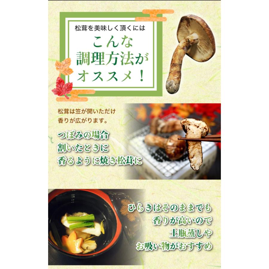 2026年10月分予約 国産 松茸 ひらき 約700g 3~10本程度 まつたけ 