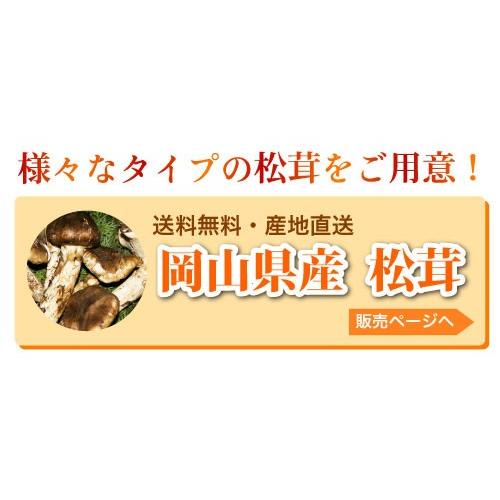 国産 松茸 中つぼみ(半開き) 約700g 3~10本程度 まつたけ マツタケ 岡山 ギフト｜808｜11