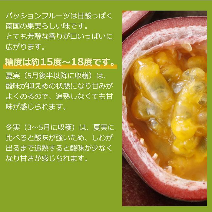 最高糖度18度】減農薬 訳あり パッションフルーツ 1kg〜2.8kg 沖縄産