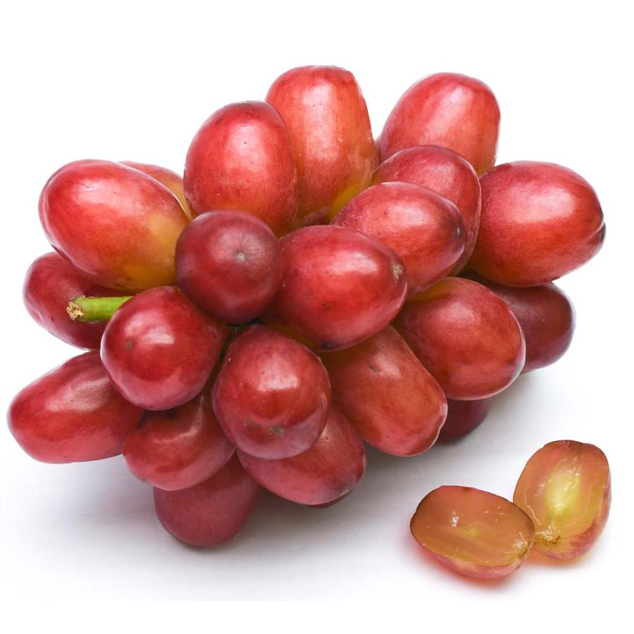 2026年9月以降分予約 クイーンルージュ ぶどう 500〜2kg前後 1〜4房入