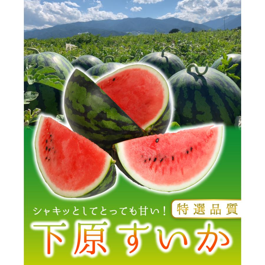 下原 すいか M~Lサイズ 2玉 10~14kg入 贈答用 スイカ 西瓜 長野 松本 秀品 S10｜808｜02