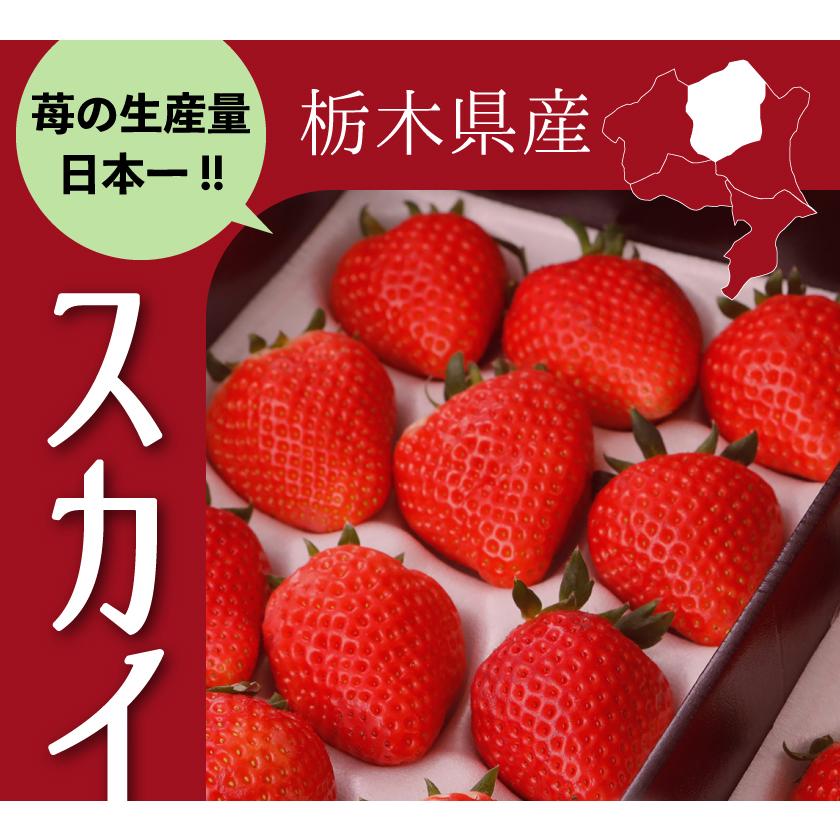 いちご イチゴ スカイベリー フルーツ ギフト 苺 栃木県 スカイベリー 2パック 540g 入  産地直送｜808｜02