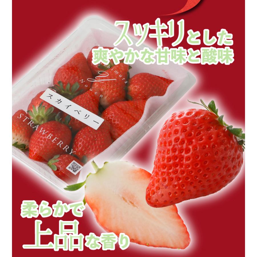 12月分予約 いちご イチゴ スカイベリー フルーツ ギフト 苺 栃木県 スカイベリー 12粒 400g 化粧箱入  産地直送｜808｜04