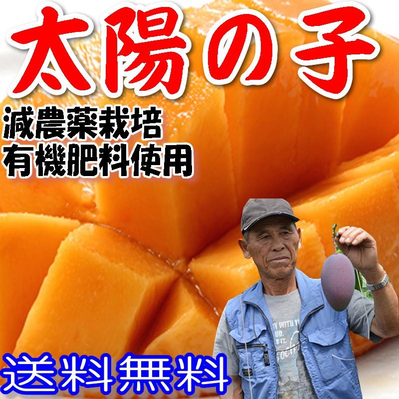 減農薬 マンゴー 太陽の子 お徳用 A品 大玉 6玉 約2.2kg〜2.4kg