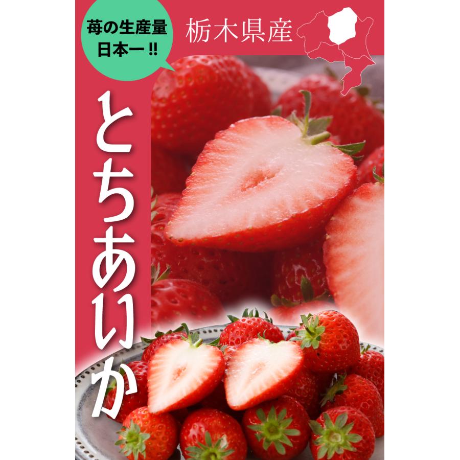 12月分予約 いちご イチゴ とちあいか フルーツ ギフト 苺 栃木県 ４パック 1080g  産地直送｜808｜02