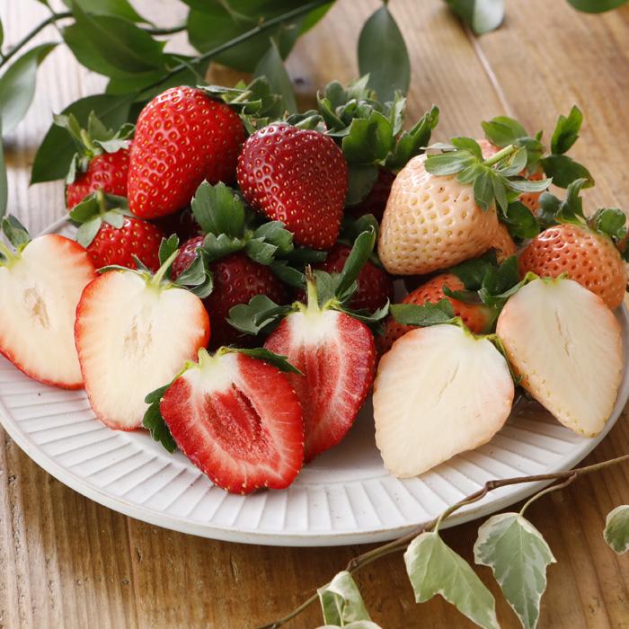 減農薬 愛媛産 いちご 紅白 詰め合わせ 400g 12〜18粒 化粧箱入 苺