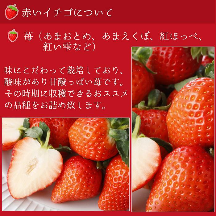 減農薬 愛媛産 いちご 紅白 詰め合わせ 400g 12〜18粒 化粧箱入 苺