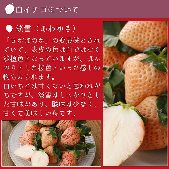 2027年分予約 減農薬 愛媛産 いちご 紅白 詰め合わせ 400g 12〜18粒