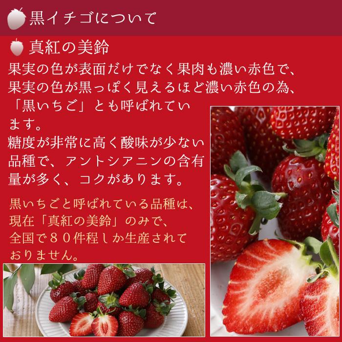 12月以降分予約 減農薬 愛媛産 黒 いちご 真紅の美鈴 400g 12〜18粒 化粧箱入 苺 イチゴ 産地直送 NN｜808｜03