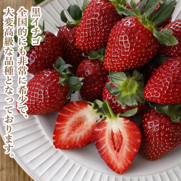 減農薬 愛媛産 黒 いちご 真紅の美鈴 800g 24〜36粒 化粧箱入 苺