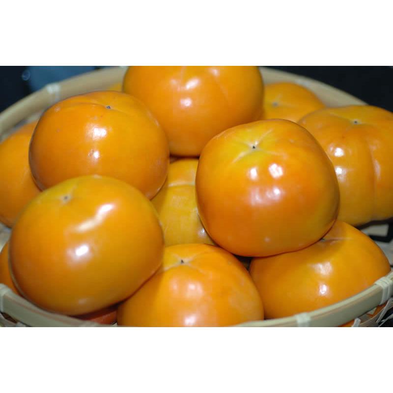 2026年11月分予約 低農薬 和歌山 富有柿 約7.5kg 良品 21個~31個位 産地直送 * ふるさと納税 ではありません_3