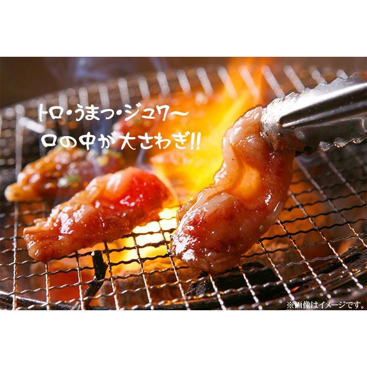 馬さがり焼肉 馬刺wギフトセット 牛肉豚肉よりも3ランク上のうまみ 上質な馬焼肉と馬刺で楽しめる 桜肉 晩秋にも qキャンプやパーティーに 9 A008 熊本馬刺し専門店 馬刺しの八福屋 通販 Yahoo ショッピング