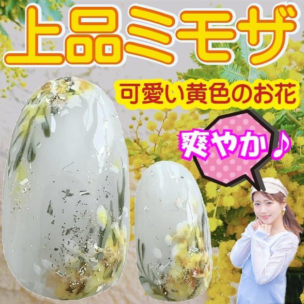 ミモザ ネイルチップ 春 花 みもざ イエロー : 手作りジェルネイル