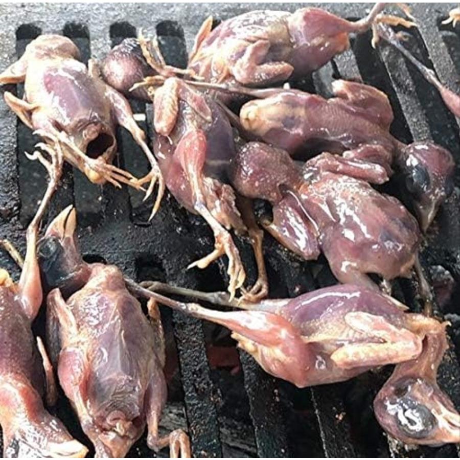 ベトナム産　冷凍すずめ　24羽x20箱（箱3,060円税別）姿毛無　冷凍　業務用　ヤヨイ　雀 | 