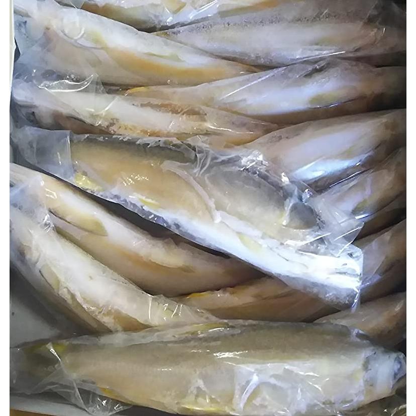 国産　冷凍あゆ １kg（kg13〜16尾）×10Ｐ（Ｐ3,150円税別）鮎　業務用　ヤヨイ | 