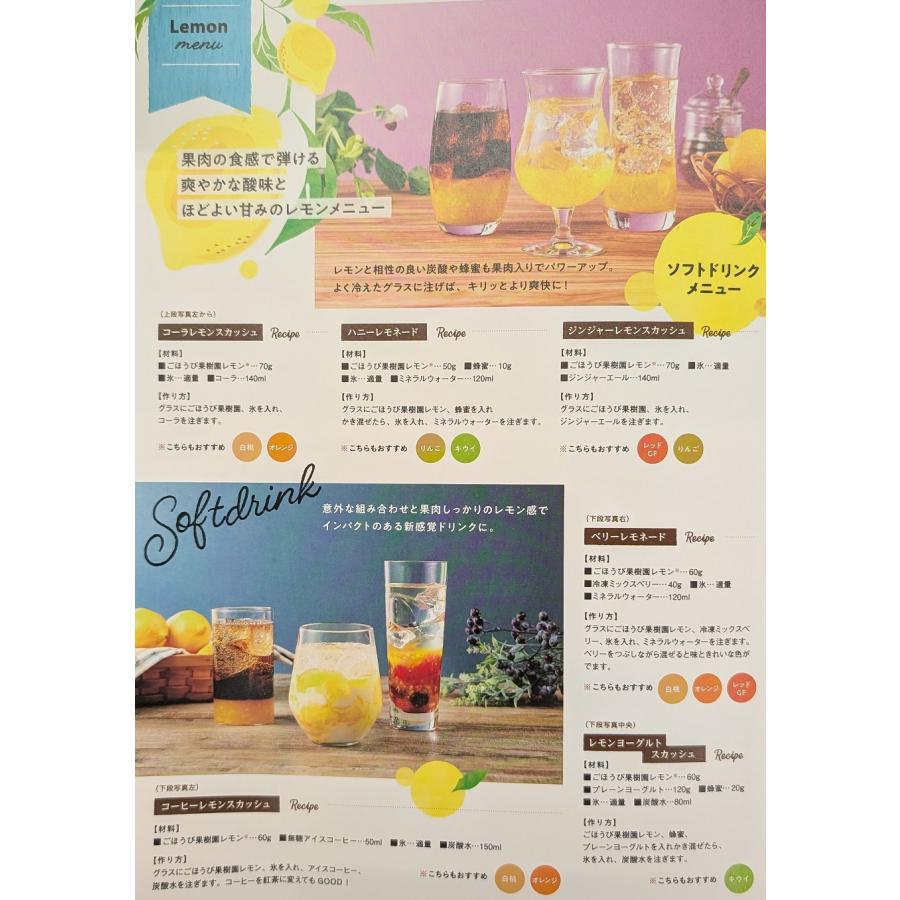 ごほうび果樹園　果汁感が贅沢なドリンク用ベース　500ｇ×16P（P1,090円税別） 常温　業務用　ヤヨイ |  | 02