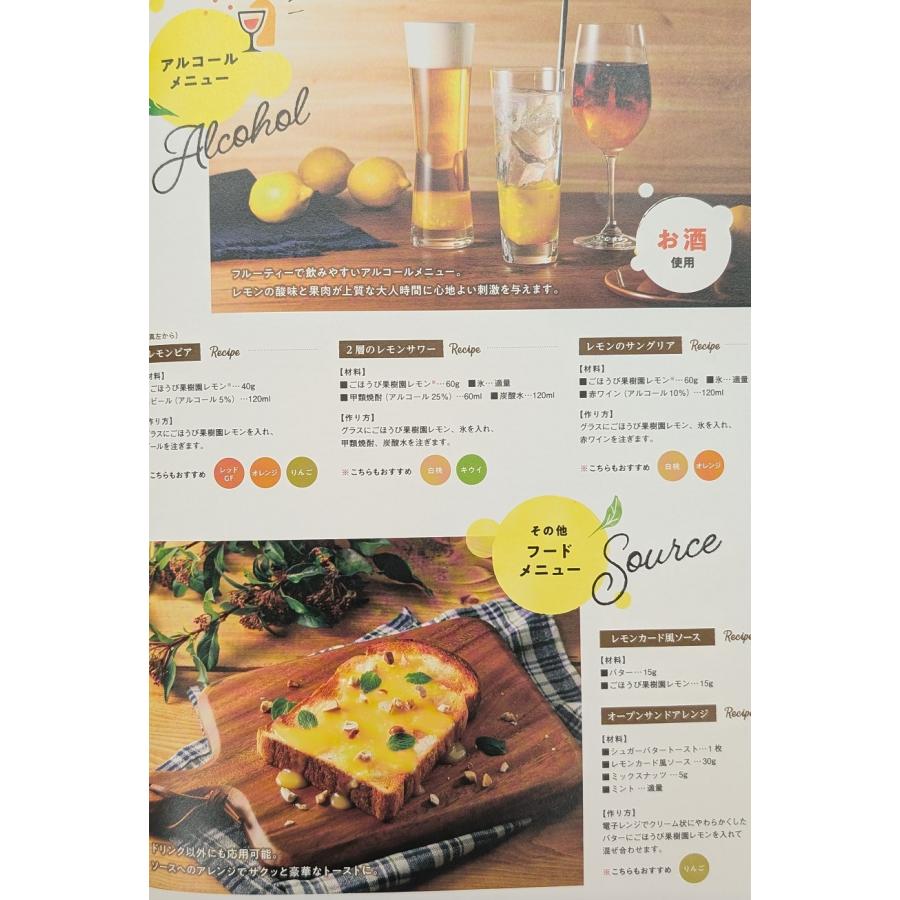 ごほうび果樹園　果汁感が贅沢なドリンク用ベース　500ｇ×16P（P1,090円税別） 常温　業務用　ヤヨイ |  | 05