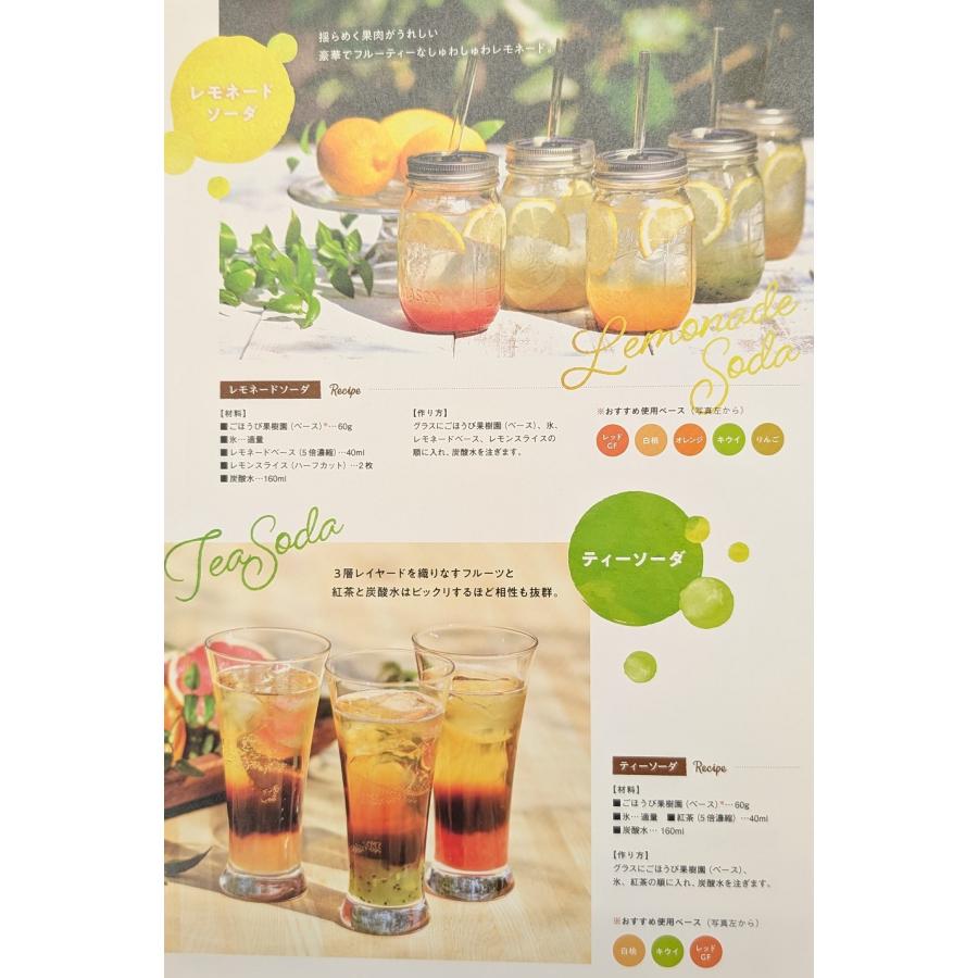 ごほうび果樹園　果汁感が贅沢なドリンク用ベース　500ｇ×16P（P1,090円税別） 常温　業務用　ヤヨイ |  | 06