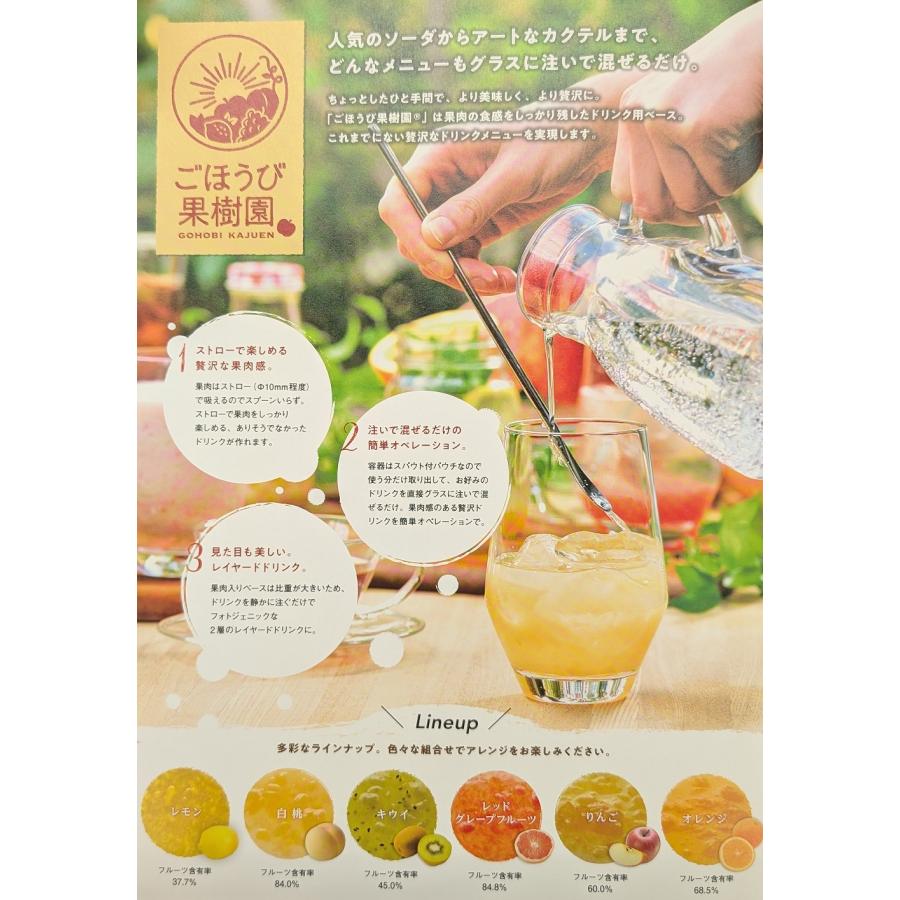 ごほうび果樹園　果汁感が贅沢なドリンク用ベース　500ｇ×16P（P1,090円税別） 常温　業務用　ヤヨイ |  | 09