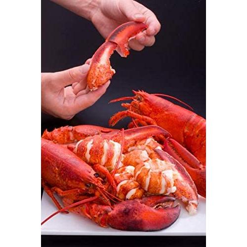 カナダ産　UHPオマールロブスター　姿　28尾（尾350/400g）尾1,690円税別　かつ冷　業務用　冷凍　※他に24尾400/450ｇも下記に記載中 |  | 01