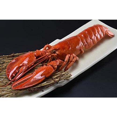 カナダ産　UHPオマールロブスター　姿　28尾（尾350/400g）尾1,690円税別　かつ冷　業務用　冷凍　※他に24尾400/450ｇも下記に記載中 |  | 04