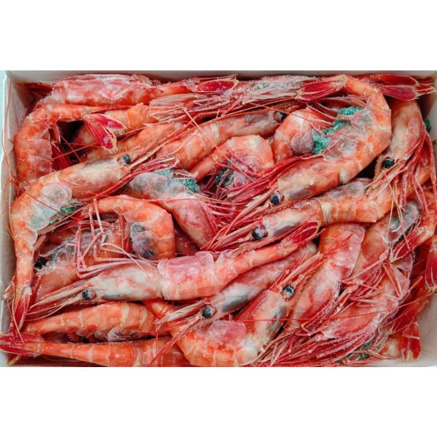 ロシア産　天然冷凍甘海老　2L　1kgx12P（P5,000円税別）甘えび　刺身用　業務用　ヤヨイ | 