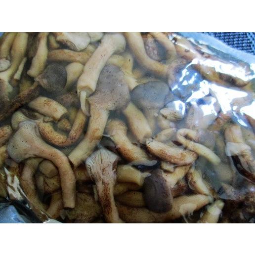 小鉢　焼しめじポンズ味　1ｋｇ×15Ｐ（P1150円税別）業務用　ヤヨイ | 