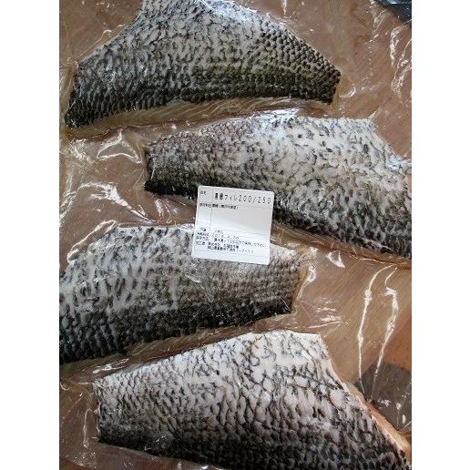 国産　黒鯛フィーレ（200/250ｇ）4枚入り×10P（Ｐ1950円税別）加熱用　業務用　ヤヨイ | 