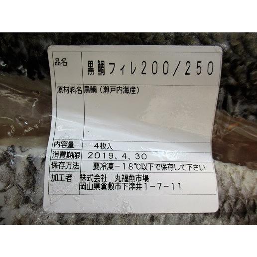 国産　黒鯛フィーレ（200/250ｇ）4枚入り×10P（Ｐ1950円税別）加熱用　業務用　ヤヨイ |  | 01