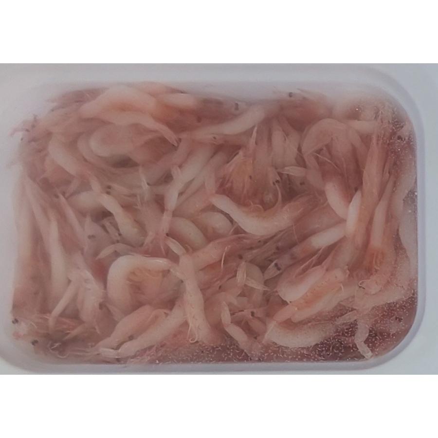 ゴダック　桜えび（刺身用）　１ｋｇ×12Ｐ（Ｐ4160円税別）　究極の刺身　華さくら　桜海老　業務用　ヤヨイ |  | 03